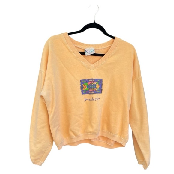 Tops - i Can Too Sport 
Peach V-Neck Crop Top Sweatshirt One Size Fits Most 100% Cotton